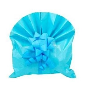 busta-regalo-perlata-15x25-azzurro