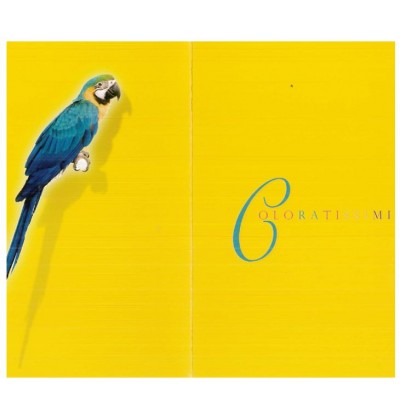 biglietti-coniglio-e-pappagallo