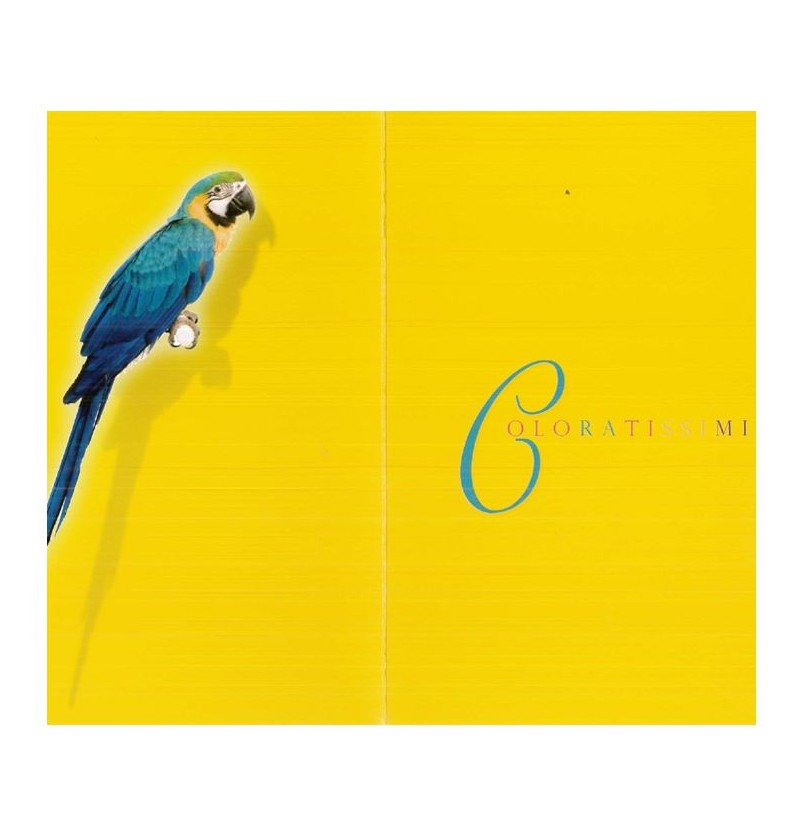 biglietti-coniglio-e-pappagallo