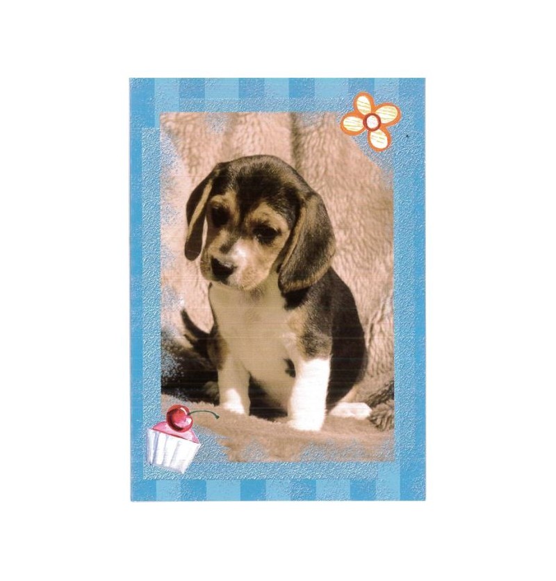 biglietti-cani-senza-testo
