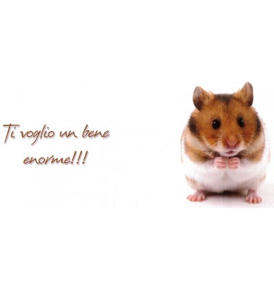 biglietti-auguri-generici-porcellino