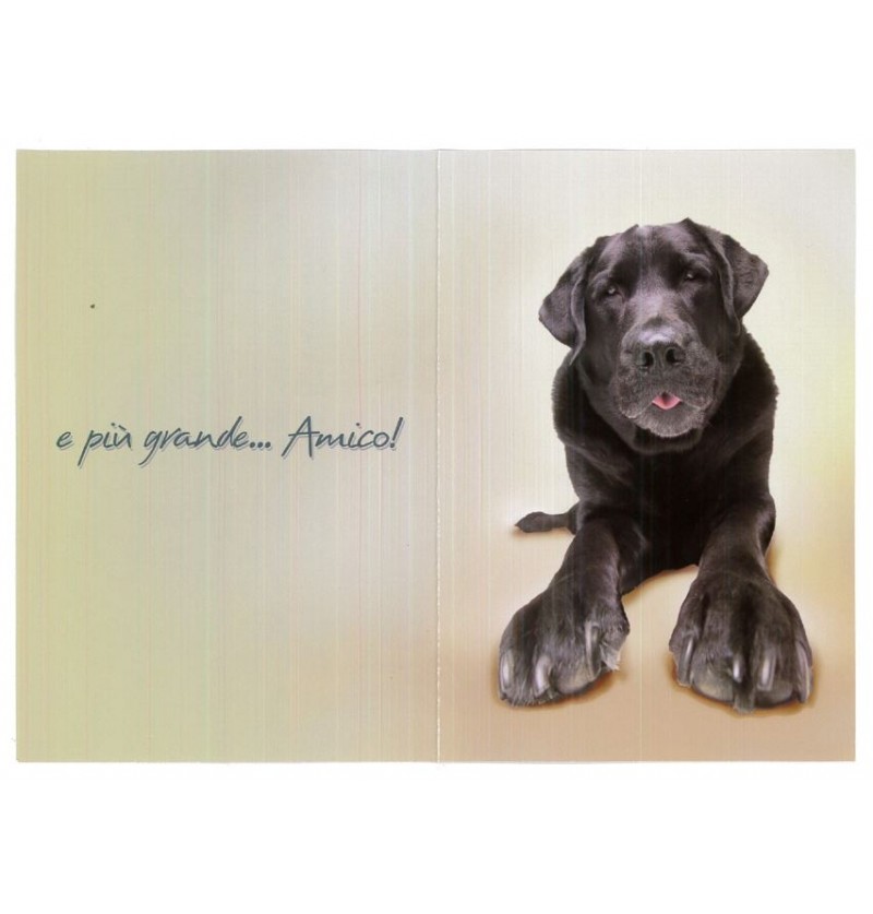 biglietti-auguri-generici-cane