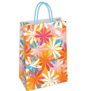 shoppers-fantasia-nizza-36x12x41