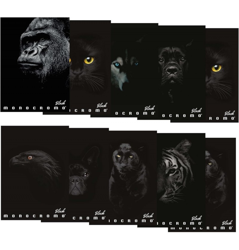 maxi-monocromo--black-18+1-r/5m