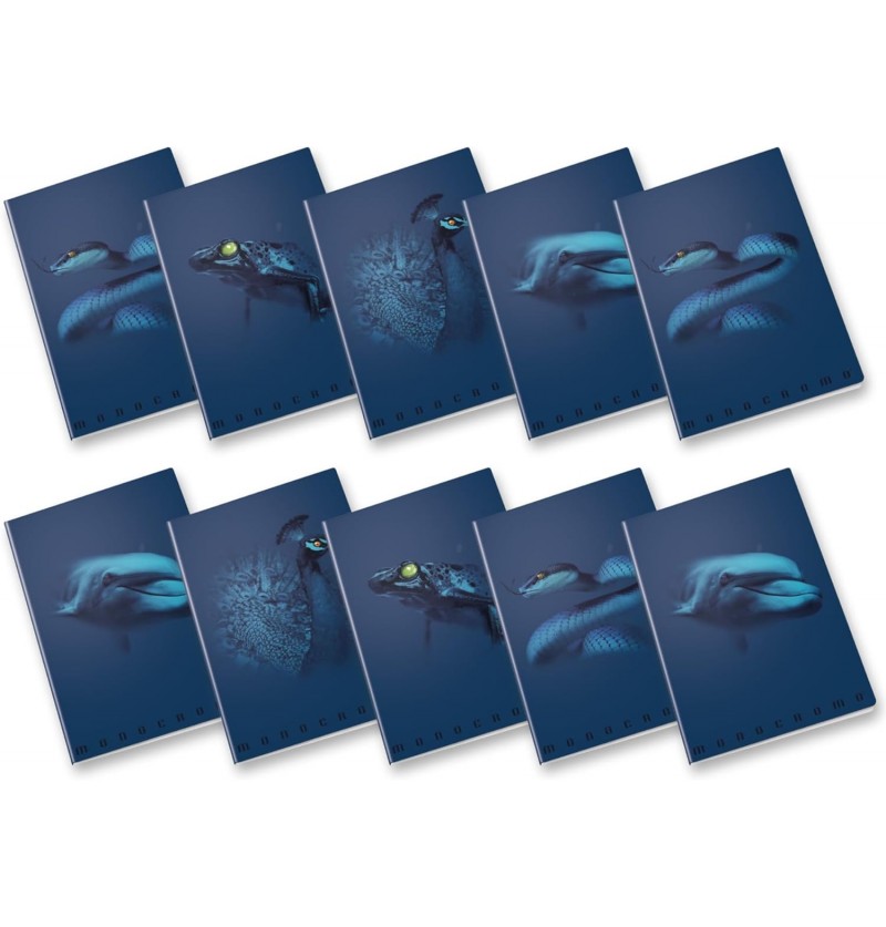 maxi-monocromo-blue-18+1-rig/4m