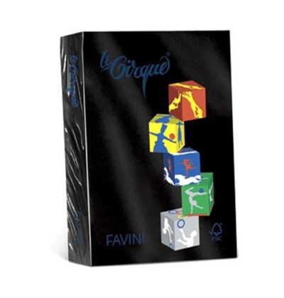 risma-forte-a4-160gr-250fg-nero-400