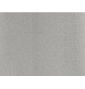 carta-regalo-fg-tinta-unita-argento