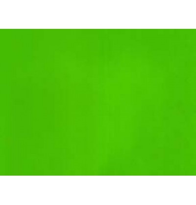 carta-regalo-fg-tinta-unita-verde