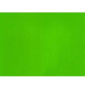 carta-regalo-fg-tinta-unita-verde