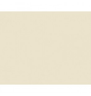 carta-velina-50x76-21-gr-panna-f005a