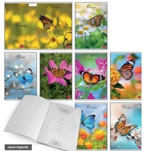 maxi-butterflies-50-ff/sh--rig-c