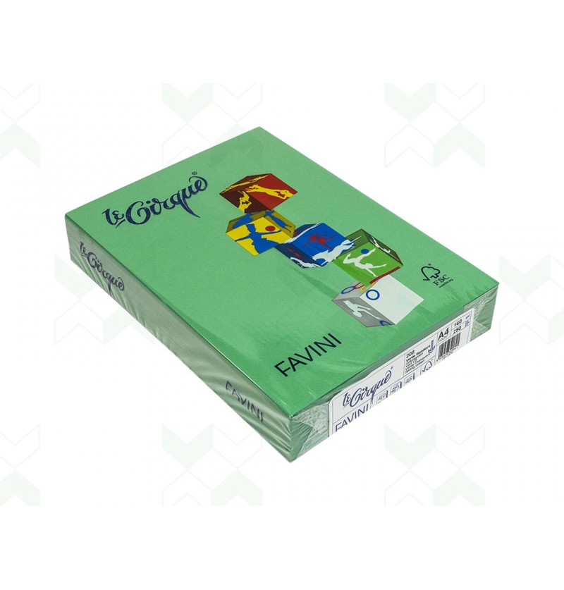 risma-forte-a4-160gr-250fg-verde-bandiera-208