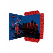 CARTELLE CON ELASTICO